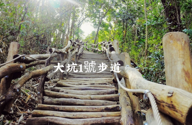 大坑1號步道交通 大坑1號步道交通
