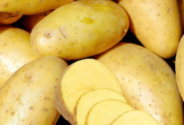 馬鈴薯健康飲食