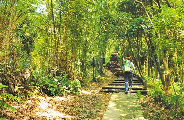 樹林大同山步道
