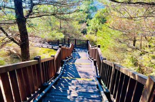 新竹森林遊樂區