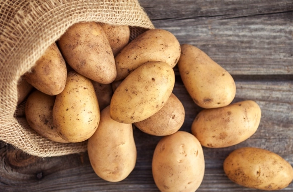 馬鈴薯地瓜營養