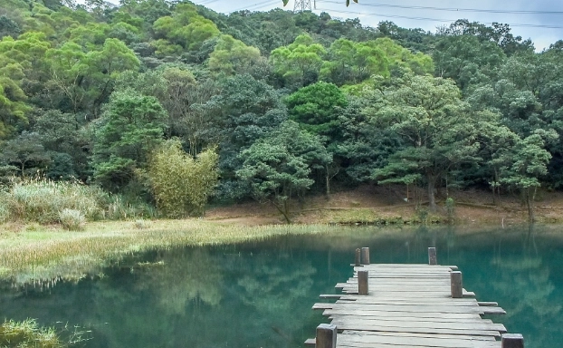 新山夢湖登山步道的評論