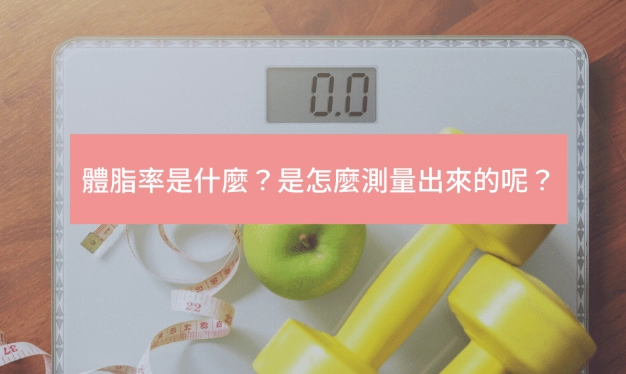 晚上體脂比較高