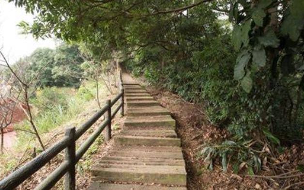 龜山楓樹坑步道