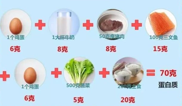 60克蛋白質是多少