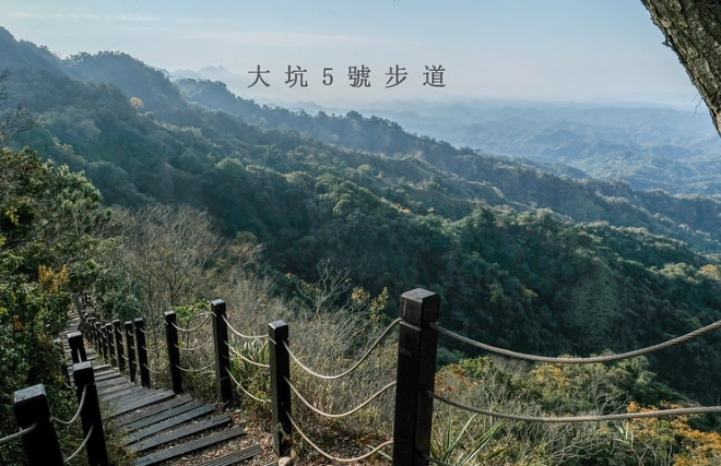 大坑5號步道登山口