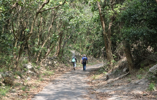 柴山台泥登山口的評論